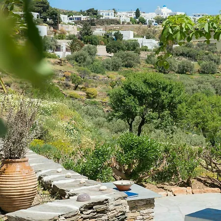 Holiday home Peristeronas House Sifnos - Dove Cot Sifnos *